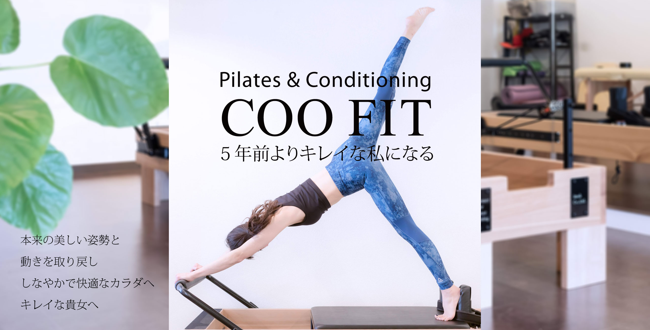 COO FITの画像
